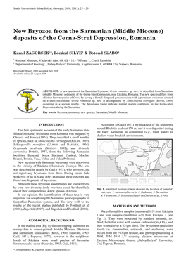 New Bryozoa from the Sarmatian (Middle Miocene) Deposits of the Cerna-Strei Depression, Romania