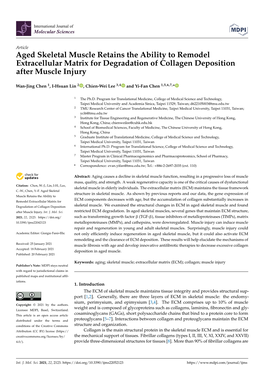 Aged Skeletal Muscle Retains the Ability to Remodel Extracellular Matrix for Degradation of Collagen Deposition After Muscle Injury