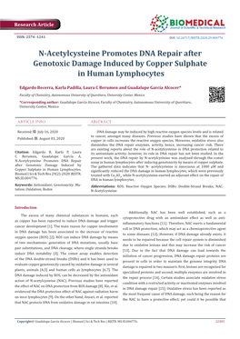 N-Acetylcysteine Promotes DNA Repair After Genotoxic Damage Induced by Copper Sulphate in Human Lymphocytes