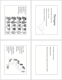 Phylogeny Systematics & Taxonomy