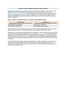 Anchovy (Family Engraulidae) Diversity in North Carolina
