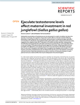 Ejaculate Testosterone Levels Affect Maternal Investment in Red Junglefowl