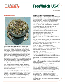 Frogwatch Newsletter 11 May 2009