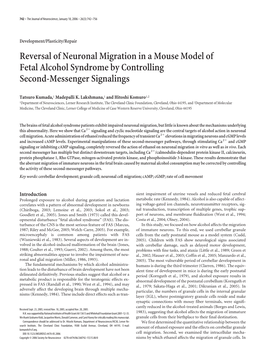 Reversal of Neuronal Migration in a Mouse Model of Fetal Alcohol Syndrome by Controlling Second-Messenger Signalings