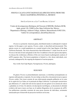 Pisonia Calafia (Nyctaginaceae) Species Nova from the Baja California Peninsula, Mexico