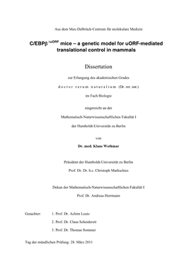 C/EBP ∆Uorf Mice – a Genetic Model for Uorf-Mediated Translational Control in Mammals