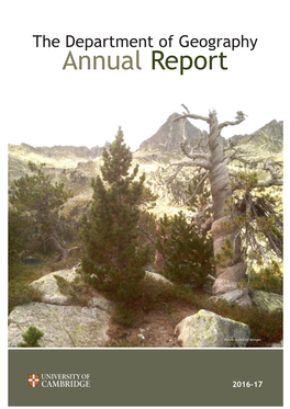 Annual Report