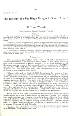 The Identity of a Pea Blight Fungus in South Africa *