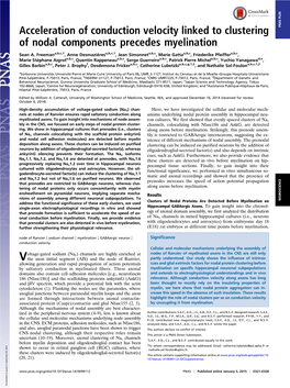 Acceleration of Conduction Velocity Linked to Clustering of Nodal