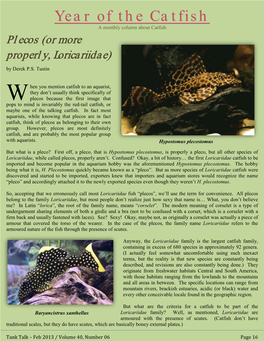 Year of the Catfish – Plecos