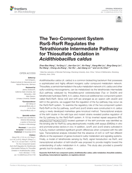 The Two-Component System Rsrs-Rsrr Regulates the Tetrathionate Intermediate Pathway for Thiosulfate Oxidation in Acidithiobacillus Caldus