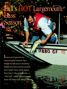 Fall's HOT Largemouth Bass Season