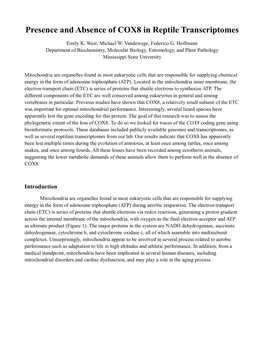 Presence and Absence of COX8 in Reptile Transcriptomes