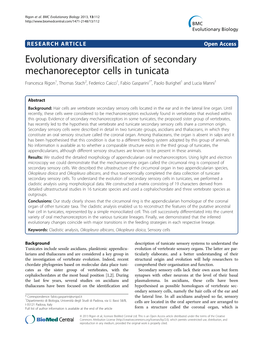 Evolutionary Diversification of Secondary Mechanoreceptor Cells