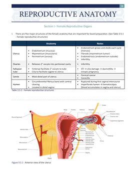 Reproductive Anatomy