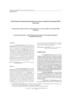 Meiotic Behavior During Microsporogenesis of Alchornea Triplinervia (Sprengel) Müller Argoviensis