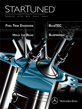 Fuel Trim Diagnosis Hold the Road Bluetec Blueprinting