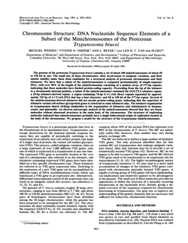 Chromosome Structure: DNA Nucleotide Sequence Elements of a Subset of the Minichromosomes of the Protozoan Trypanosoma Brucei