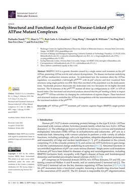 Structural and Functional Analysis of Disease-Linked P97 Atpase Mutant Complexes