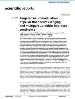 Targeted Neuromodulation of Pelvic Floor Nerves in Aging And