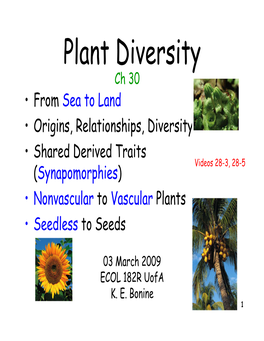 Plant Diversity