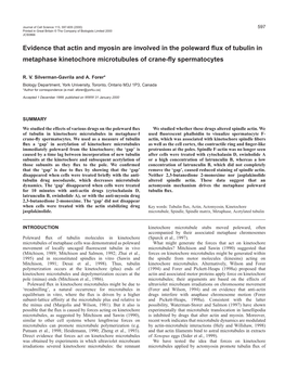 Actin and Myosin in Tubulin Flux