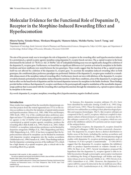 Molecular Evidence for the Functional Role of Dopamine D3 Receptor in the Morphine-Induced Rewarding Effect and Hyperlocomotion