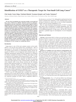 Identification of COX17 As a Therapeutic Target for Non-Small Cell Lung Cancer1