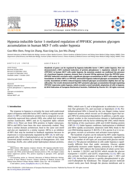 Hypoxia-Inducible Factor 1-Mediated Regulation of PPP1R3C Promotes