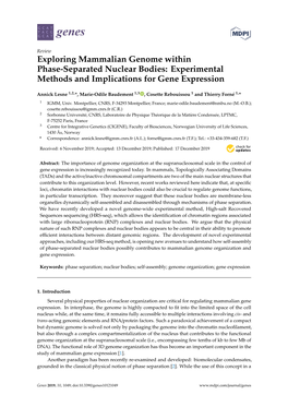 Exploring Mammalian Genome Within Phase-Separated Nuclear Bodies: Experimental Methods and Implications for Gene Expression