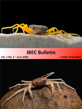 IBEC Bulletin Vol