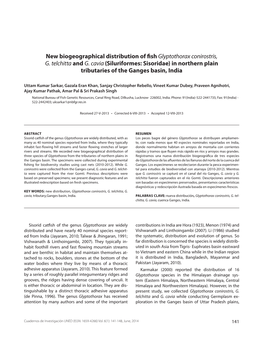 New Biogeographical Distribution of Fish Glyptothorax Conirostris, G