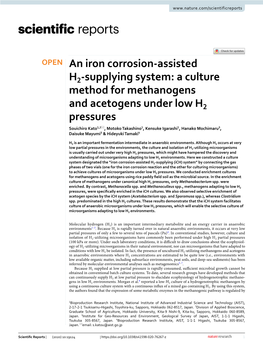 An Iron Corrosion-Assisted H2-Supplying System