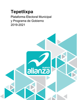 Tepetlixpa Plataforma Electoral Municipal Y Programa De Gobierno 2019-2021