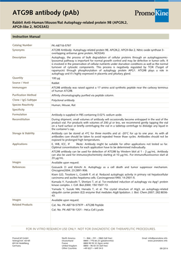 ATG9B Antibody (Pab)