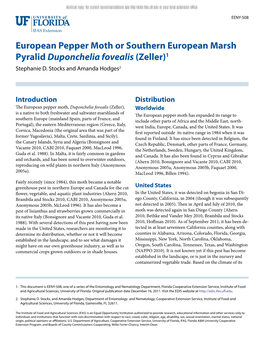 European Pepper Moth Or Southern European Marsh Pyralid Duponchelia Fovealis (Zeller)1 Stephanie D