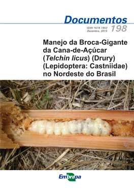 Manejo Da Broca-Gigante Da Cana-De-Açúcar ( ) (Drury
