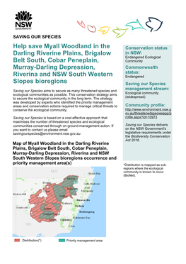 Myall Woodland in the Darling Riverine Plains, Brigalow Belt