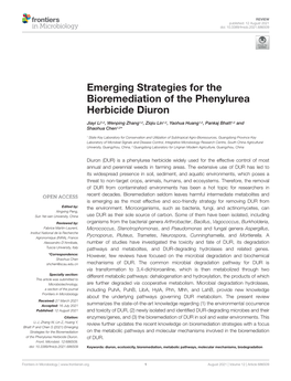 Emerging Strategies for the Bioremediation of the Phenylurea Herbicide Diuron