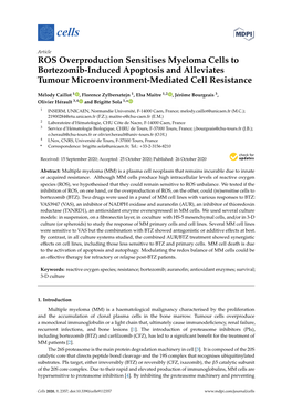 ROS Overproduction Sensitises Myeloma Cells to Bortezomib-Induced Apoptosis and Alleviates Tumour Microenvironment-Mediated Cell Resistance