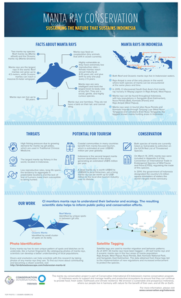 Infografis Manta