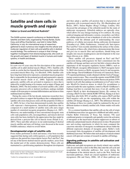 Satellite and Stem Cells in Muscle Growth and Repair