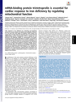 Mrna-Binding Protein Tristetraprolin Is Essential for Cardiac Response to Iron Deficiency by Regulating Mitochondrial Function