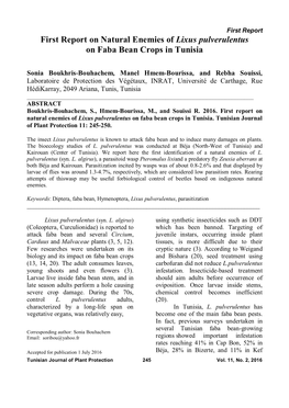 First Report on Natural Enemies of Lixus Pulverulentus on Faba Bean Crops in Tunisia