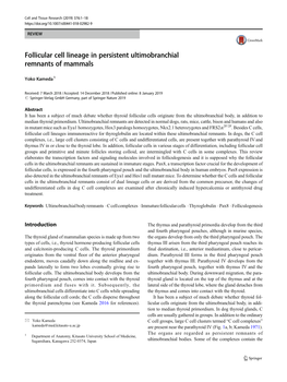 Follicular Cell Lineage in Persistent Ultimobranchial Remnants of Mammals