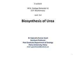 Biosynthesis of Urea