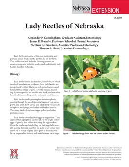 Lady Beetles of Nebraska