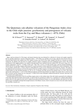 The Quaternary Calc-Alkaline Volcanism of the Patagonian Andes