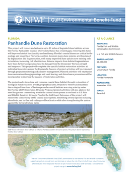 Gulf Environmental Benefit Fund Panhandle Dune Restoration