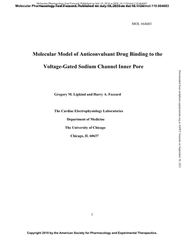 Molecular Model of Anticonvulsant Drug Binding to the Voltage